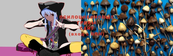 кокаин колумбия Кулебаки